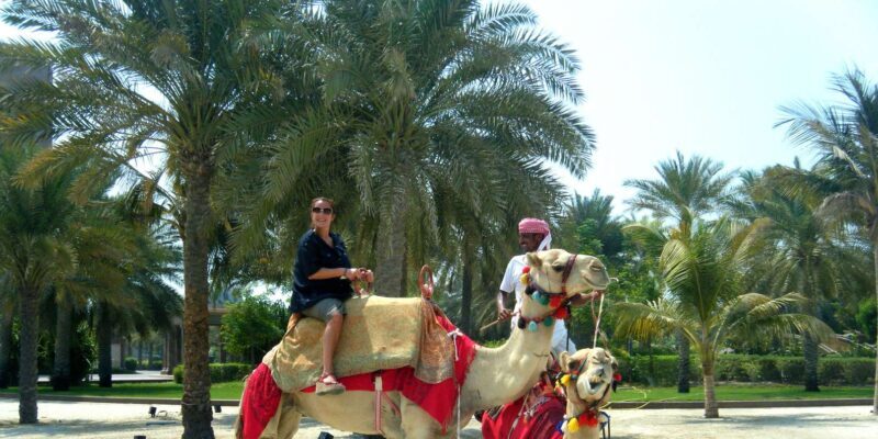 Agadir: Flamingo River Camel Ride - Agadir: Flamingo River Camel Ride – An Authentic Moroccan Adventure