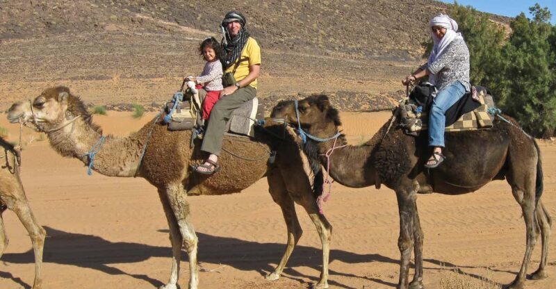Agadir: Flamingo River Camel Ride - Key Points