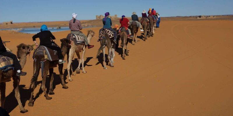 Agadir: Flamingo River Camel Ride - What Travelers Say