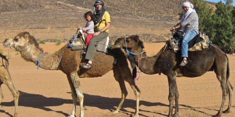 Agadir: Flamingo River Camel Ride - What You Should Expect From Your Day