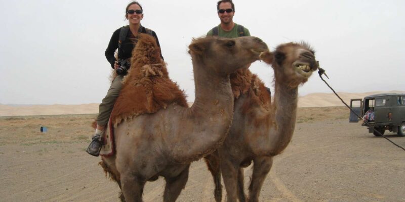 Agadir: Flamingo River Camel Ride - The Scenic Highlights and Wildlife Opportunities