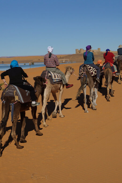Agadir: Flamingo River Camel Ride - Practical Tips for Your Ride