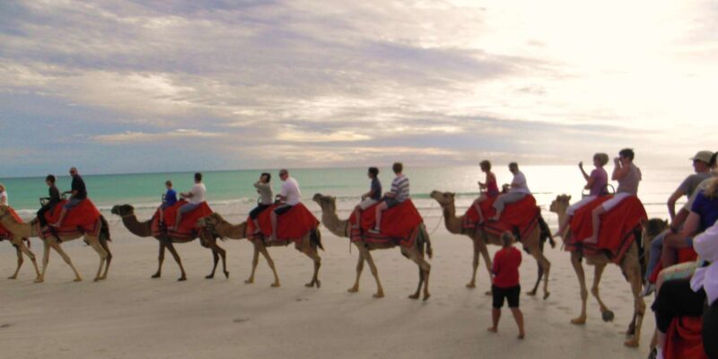Agadir: Flamingo River Camel Ride - Who Should Consider This Experience?