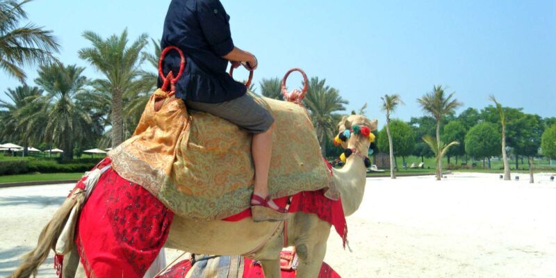 Agadir: Flamingo River Camel Ride - Frequently Asked Questions