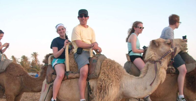 Agadir: Flamingo River Camel Ride w/Optional BBQ - Key Points
