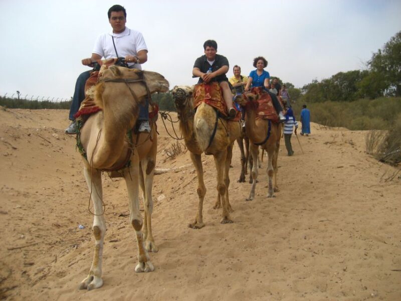 Agadir: Flamingo River Camel Ride w/Optional BBQ - What to Expect from Your Camel Ride in Agadir