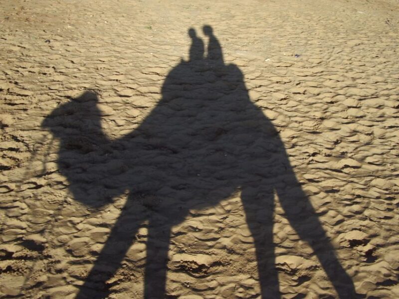 Agadir: Flamingo River Camel Ride w/Optional BBQ - The Practicalities and Logistics