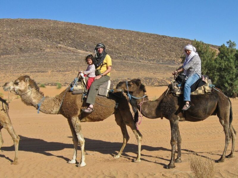 Agadir: Flamingo River Camel Ride w/Optional BBQ - Authentic Experiences and Authenticity