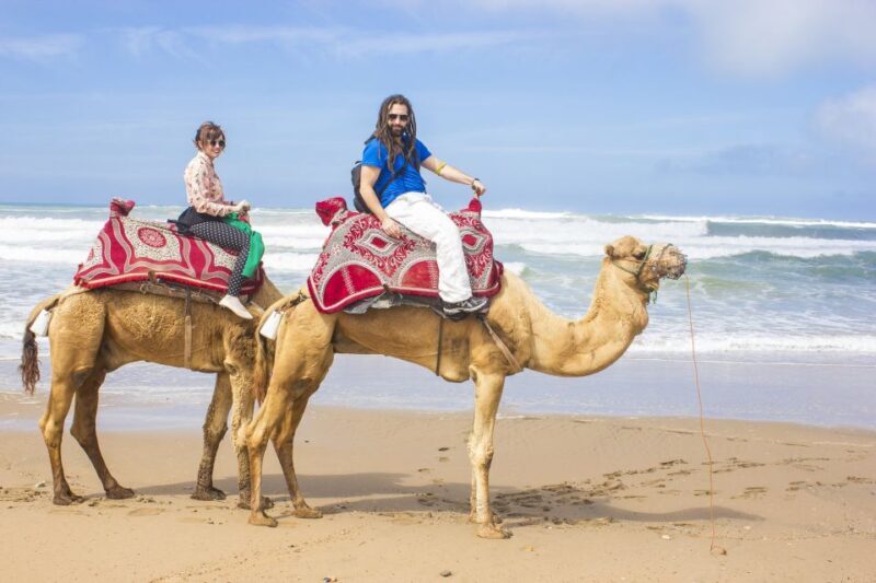 Agadir: Flamingo River Camel Ride w/Optional BBQ - Who Is This Tour Best For?