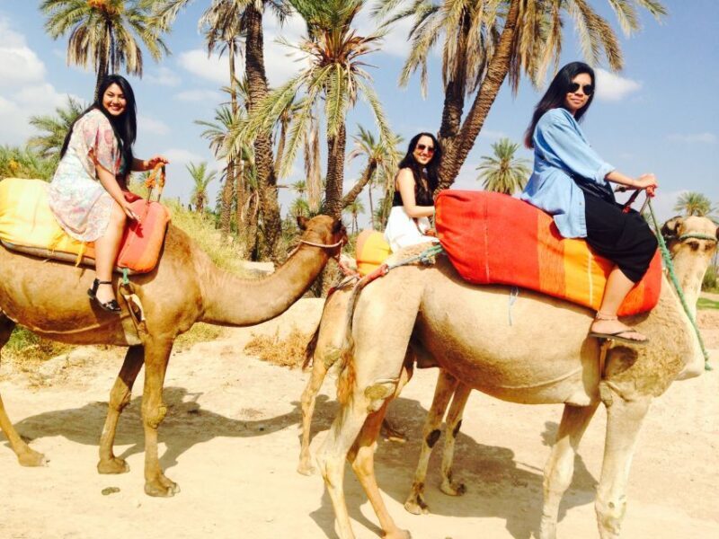 Agadir: Flamingo River Camel Ride w/Optional BBQ - Final Thoughts: Is It Worth It?