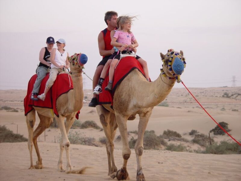 Agadir: Flamingo River Camel Ride w/Optional BBQ - Frequently Asked Questions (FAQs)