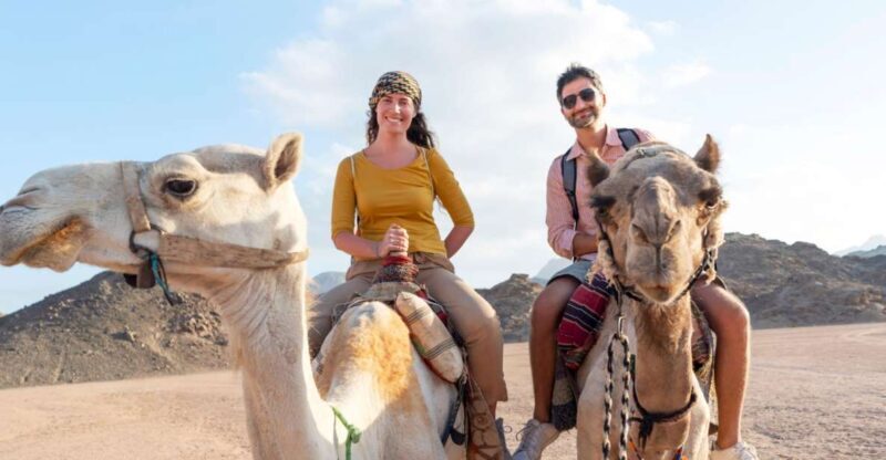 Agadir: Flamingo River Camel Ride with Optional BBQ Dinner - What to Expect During Your Camel Ride in Agadir