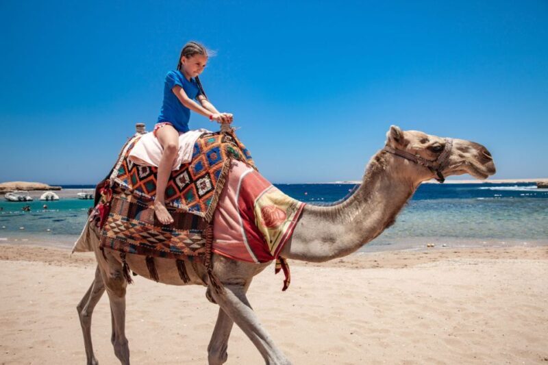 Agadir: Flamingo River Camel Ride with Optional BBQ Dinner - The Guide & Group Size