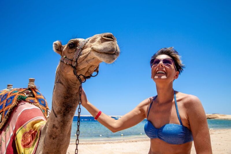 Agadir: Flamingo River Camel Ride with Optional BBQ Dinner - Who Should Consider This Tour?