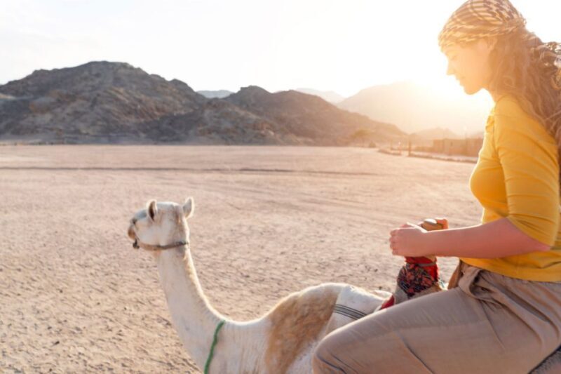 Agadir: Flamingo River Camel Ride with Optional BBQ Dinner - The Sum Up