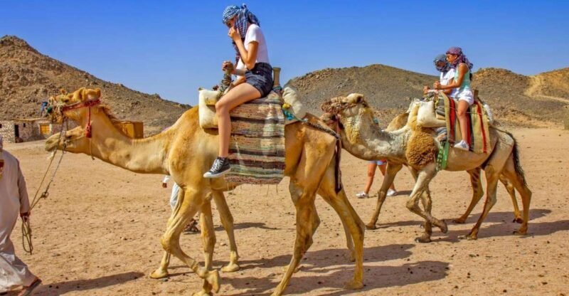 Agadir: Flamingo River Sunset Camel Ride with BBQ Diner - Key Points