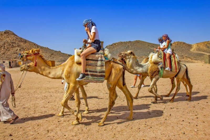 Agadir: Flamingo River Sunset Camel Ride with BBQ Diner - What We Think: The Good and the Not-So-Good