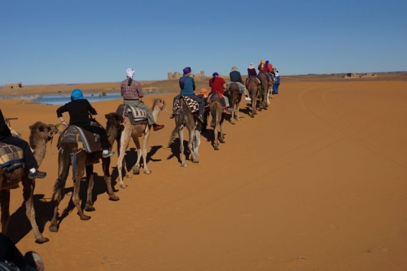 Agadir: Flamingo River Sunset Camel Ride with BBQ Diner - The Sum Up: A Worthwhile Escape from the City