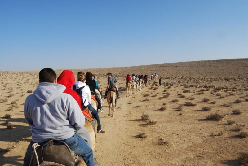 Agadir: Flamingo River Sunset Camel Ride with BBQ Diner - Frequently Asked Questions