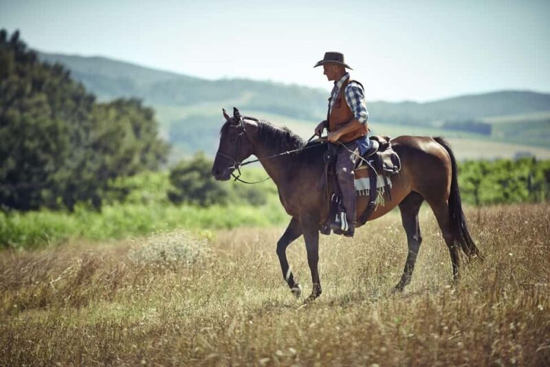 Agadir: Forest and Sand Dunes Guided Horse Riding - Key Points