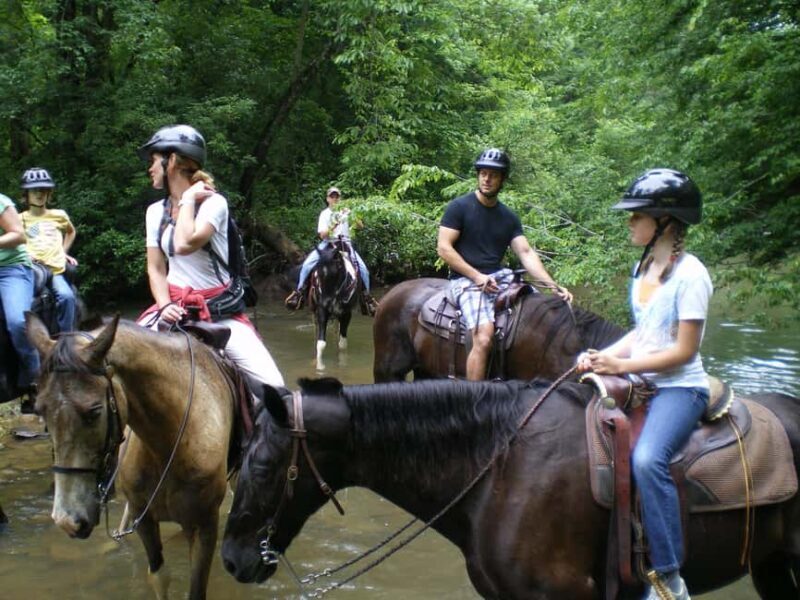 Agadir: Forest and Sand Dunes Guided Horse Riding - Frequently Asked Questions