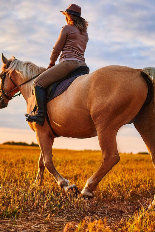 Agadir: Forest and Sand Dunes Guided Horse Riding - The Sum Up