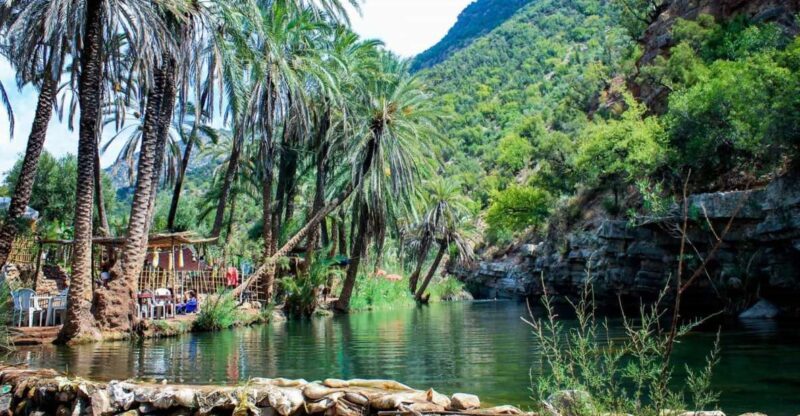 Agadir: Guided Excursion to Paradise Valley - An In-Depth Look at the Paradise Valley Tour