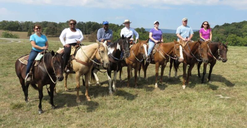 Agadir: Guided Horse Riding Along Flamingo River with Tea - Who Will Love This Tour?