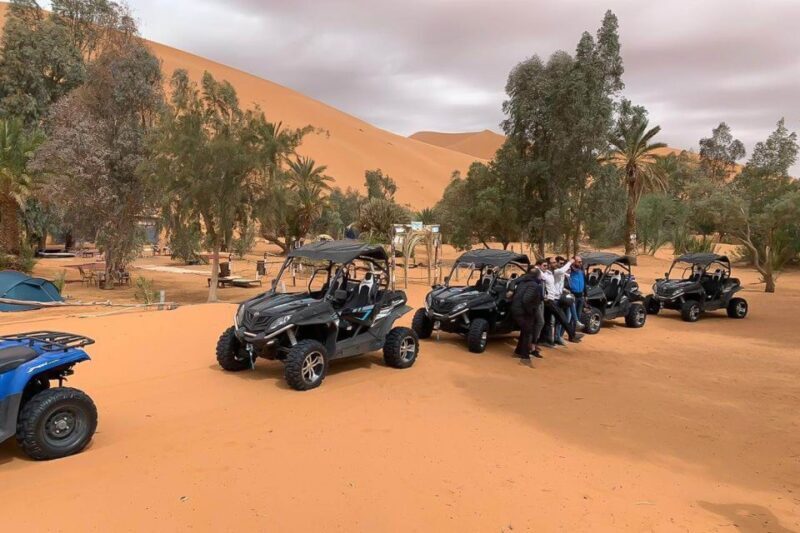 Agadir: Half-Day Desert Dunes Buggy Safari - Practical Tips and Considerations
