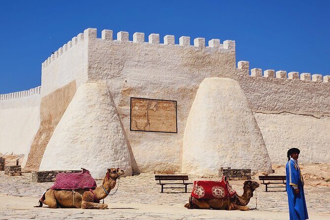 Agadir Half-Day Tour - What Travelers Say: Authentic Experiences and Small Hiccups