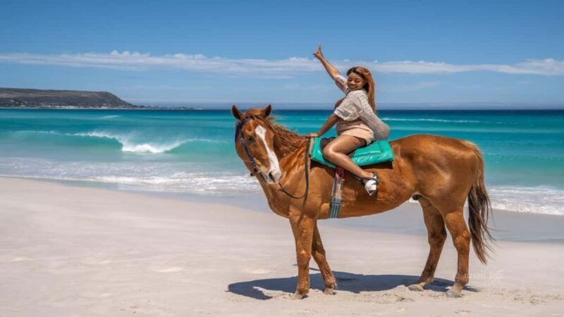 agadir: Horse Ride Tour with Traditional Lunch - What to Expect from the Agadir Horse Ride Tour