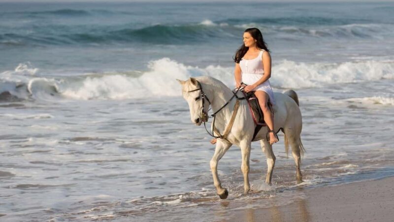 agadir: Horse Ride Tour with Traditional Lunch - Why This Tour Is Worth Considering