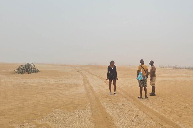 Agadir Jeep Safari & Sahara Adventure Full-Day Tour with Tajine - The Sum Up