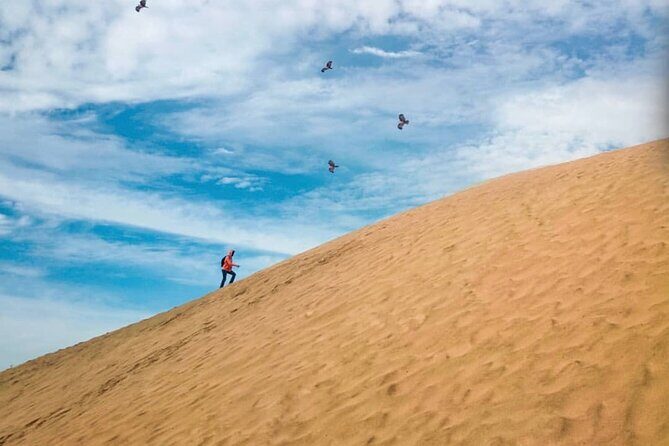 Agadir Jeep Safari Sahara Desert 4x4 Day Tour with Lunch - Why Travelers Keep Coming Back