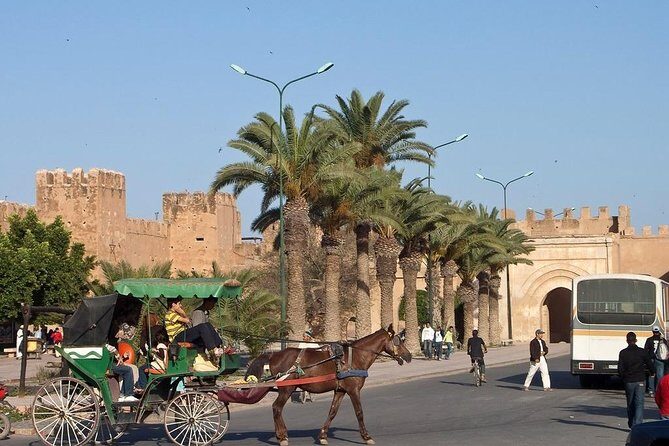 Agadir Morocco: Day Trip To Taroudant & Tiout Oasis with Lunch - Final Words
