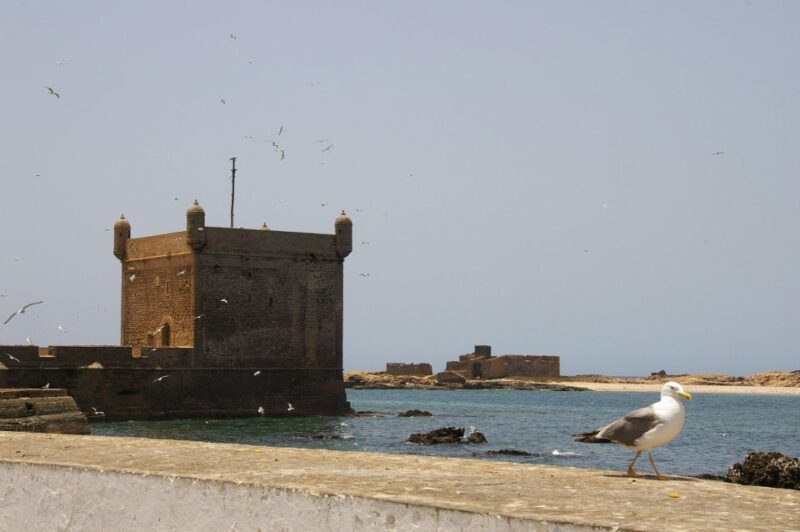 Agadir or Taghazout Essaouira old city day Trip with guide - Key Points