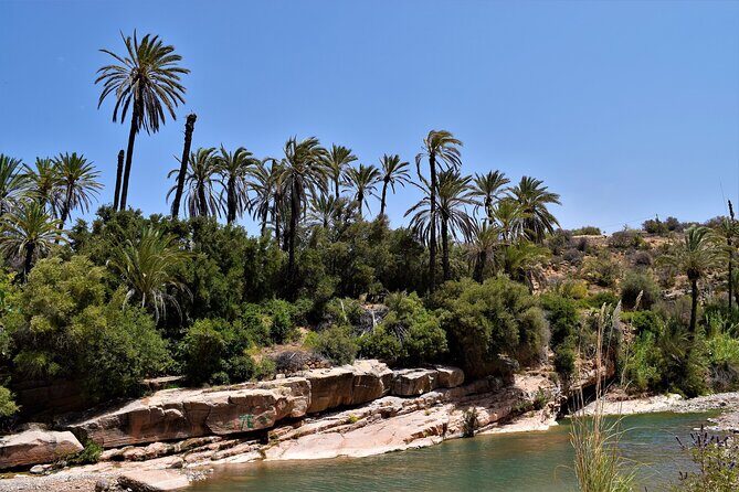 Agadir or Taghazout: Paradise Valley Atlas Mountain Swimming Trip - An In-Depth Look at What Makes This Tour Unique