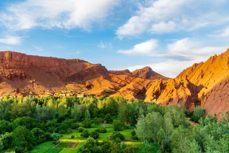Agadir or Taghazout: Paradise Valley Atlas Mountain Trip - Practical Details and Value