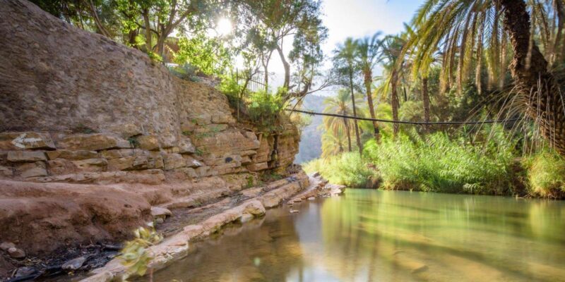 Agadir or Taghazout: Paradise Valley Atlas Mountain Trip - What to Expect from the Tour
