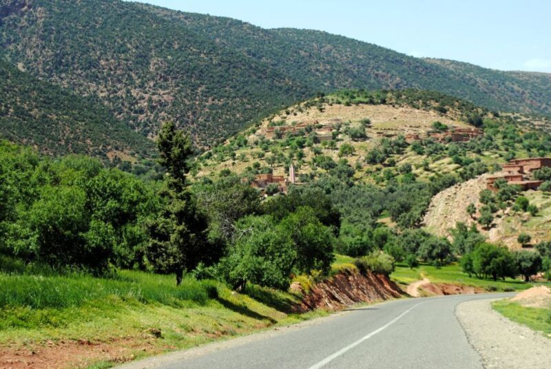 Agadir or Taghazout: Paradise Valley Tour with Swimming - An Introduction to Paradise Valley Tour