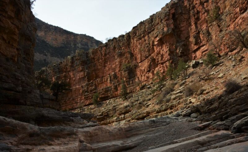 Agadir or Taghazout: Paradise Valley Tour with Swimming - Who Will Love This Tour?