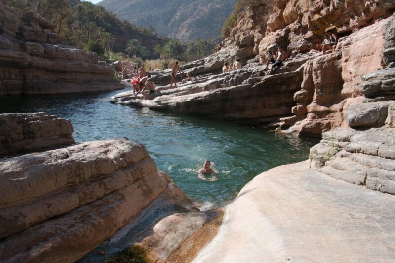 Agadir or Taghazout: Paradise Valley with Lunch & Transfers - Introduction