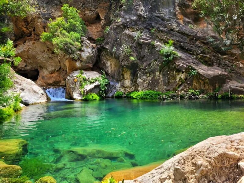 Agadir or Taghazout: Paradise Valley with Lunch & Transfers - Exploring Paradise Valley: What to Expect
