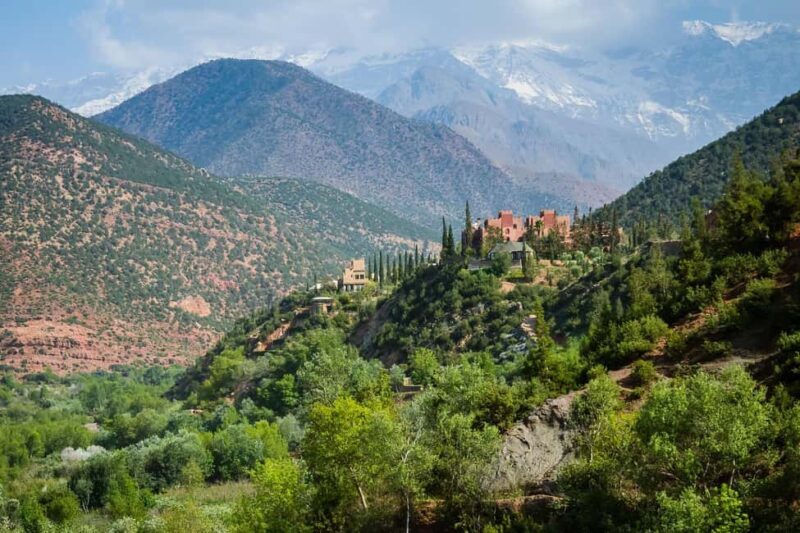 Agadir or Taghazout: Paradise Valley with Lunch & Transfers - Who Would Love This Tour?