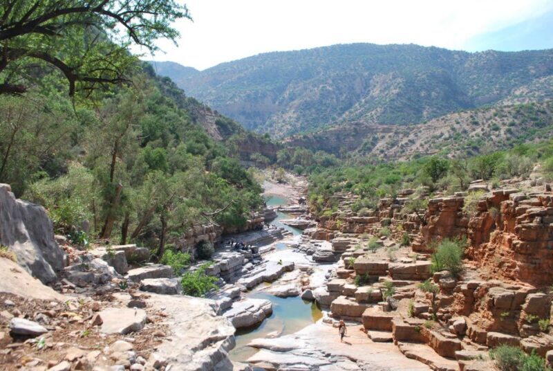 Agadir: Paradise Valley and Agadir City Tour with Lunch - An In-Depth Look at the Tour Experience