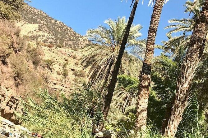 Agadir paradise valley and high atlas excursion - The Sum Up