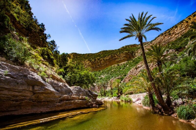 Agadir: Paradise Valley & Desert Sand Dunes & quad biking - Who Will Love This Tour?