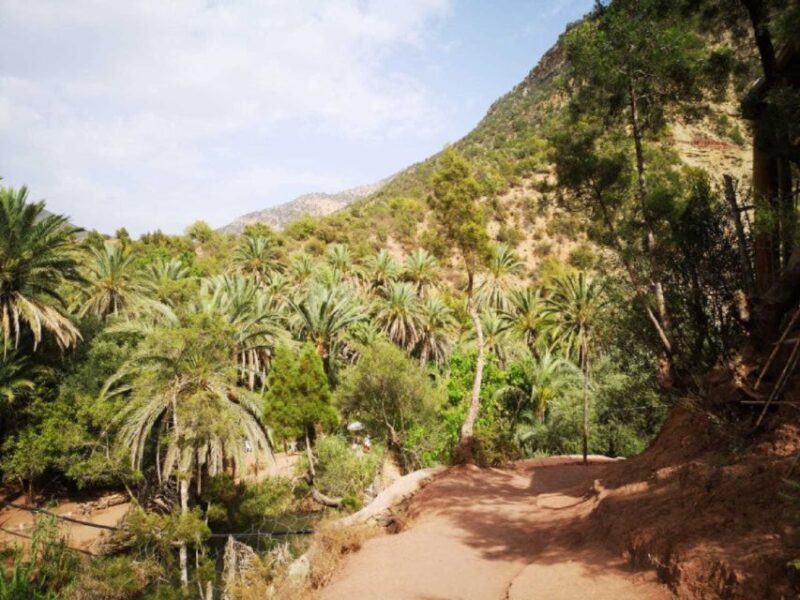 Agadir: Paradise Valley & Desert Sand Dunes & quad biking - The Sum Up