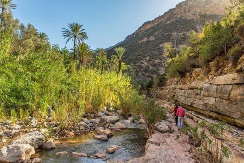 Agadir: Paradise Valley & Desert Sand Dunes with Camel Ride - Practical Tips for a Smooth Experience