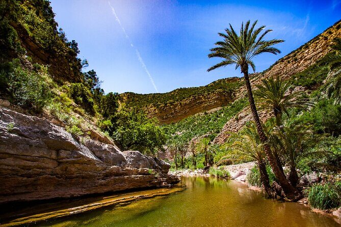 Agadir: Paradise Valley & Desert Sand Dunes With Camel Ride - Pricing and Value